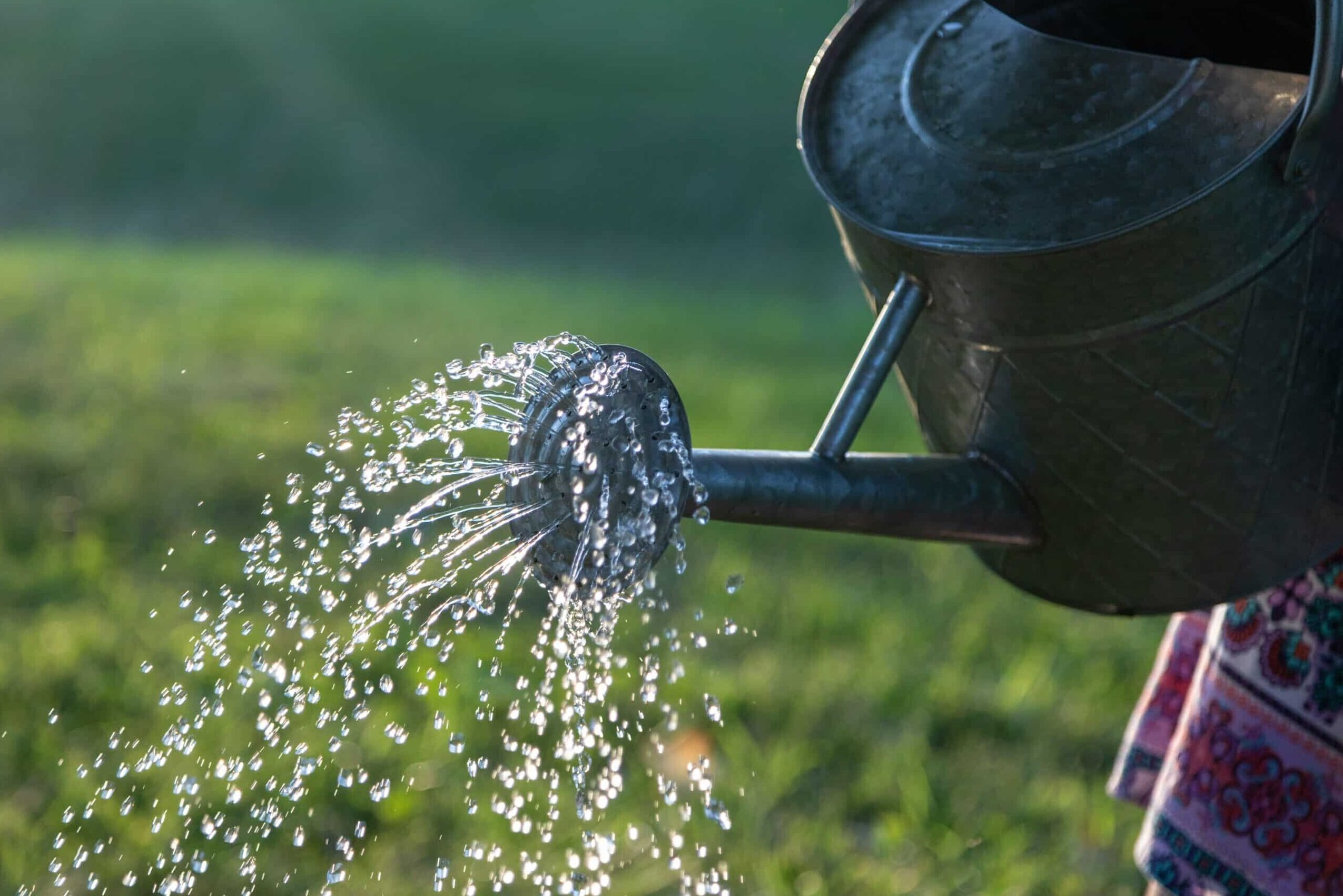 How to get more from your water allocation without using more water